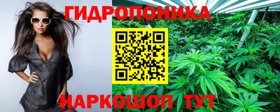 PSILOCYBIN Дубна