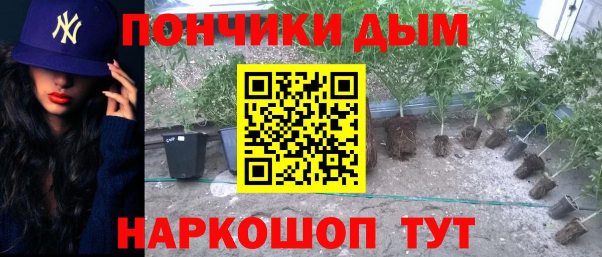 МАРИХУАНА конопля  Вход с VPN  Магнитогорск  Канабис White Widow  Бошки марихуана Amnesia  Конопля Bruce Banner 